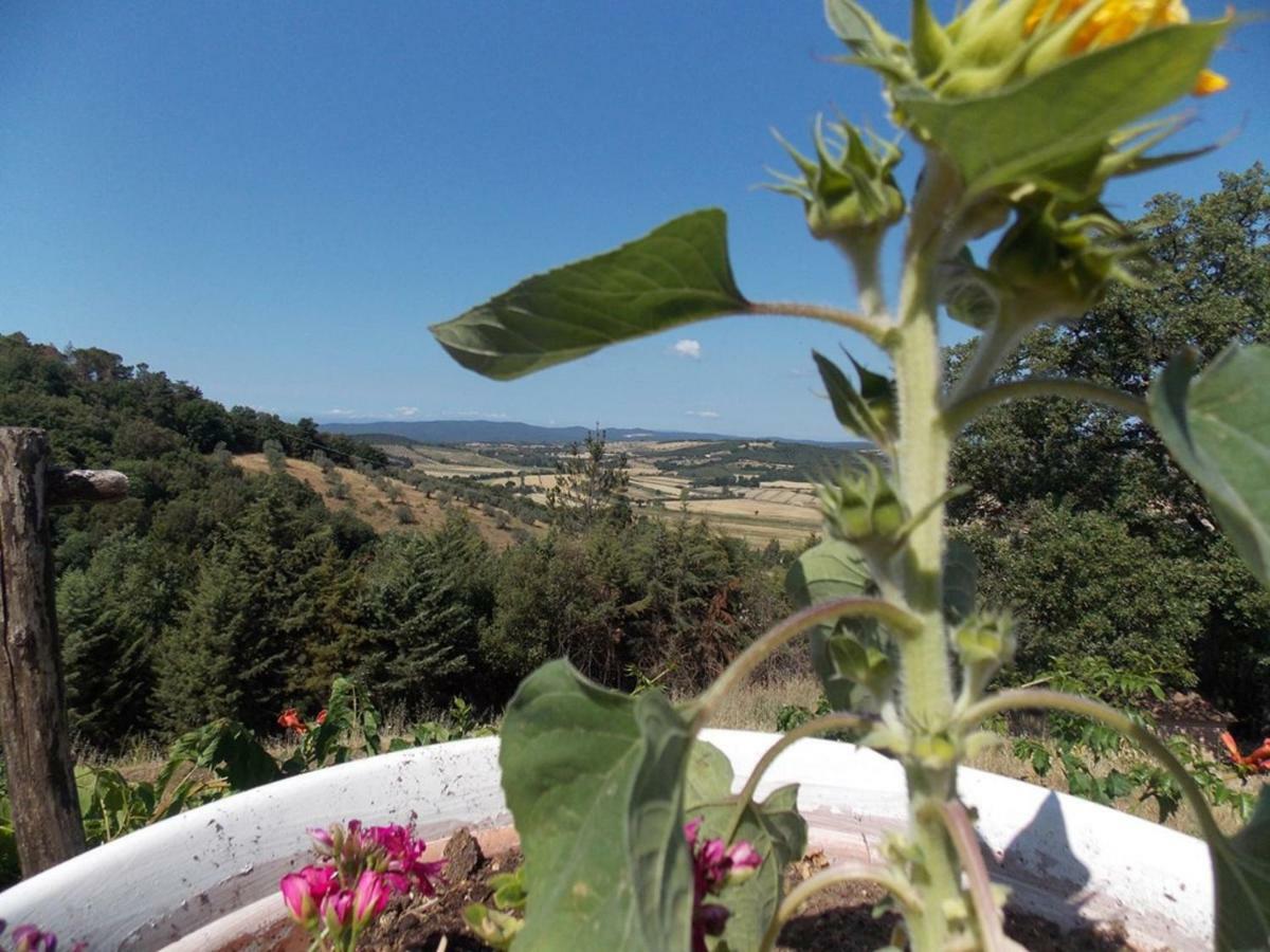 Panorama-Ferien-Toscana Your Cozy And Fully Equipped Vacation Home Massa Marittima Exterior foto